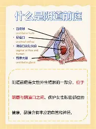 Uzi即将开启常规赛调细节曝光(uzi最新消息动态2025)
